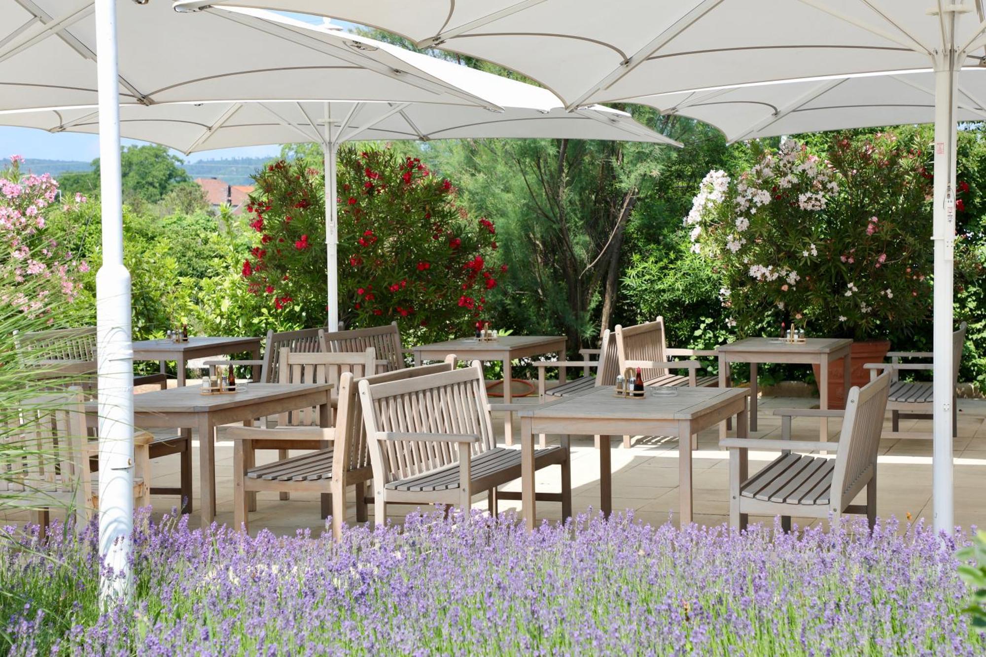 Storchencamp Gaestehaus Purbach Purbach am Neusiedler See Esterno foto
